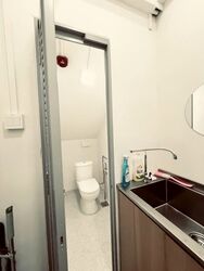Tiong Bahru Orchid (D3), Shop House #581136511